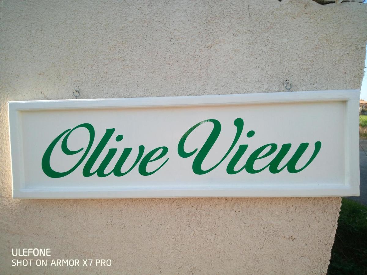 Villa Olive View Puissalicon Exterior foto